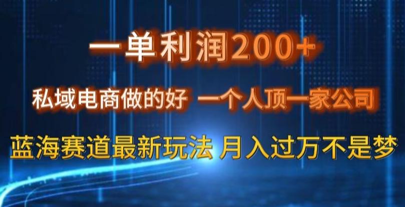 一单利润200私域电商做的好，一个人顶一家公司蓝海赛道最新玩法【揭秘】-桀创项目掘金社