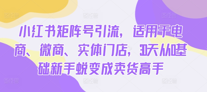 小红书矩阵号引流，适用于电商、微商、实体门店，30天从0基础新手蜕变成卖货高手-桀创项目掘金社