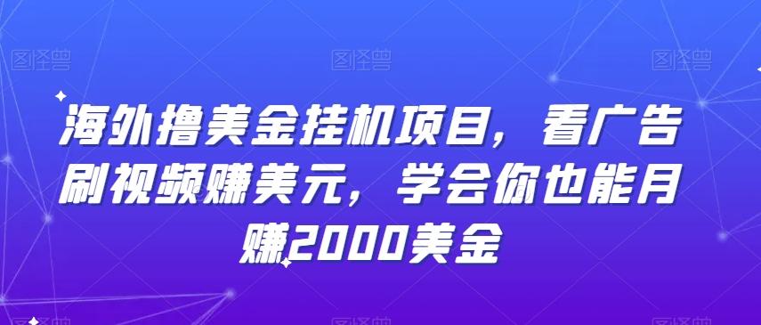 海外撸美金挂机项目，看广告刷视频赚美元，学会你也能月赚2000美金-桀创项目掘金社