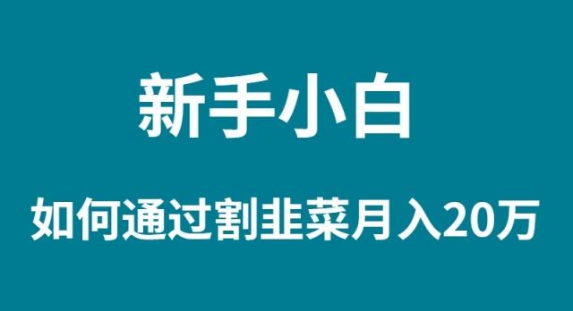 (9308期)新手小白如何通过割韭菜月入 20W-桀创项目掘金社
