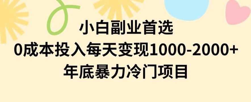 小白副业首选，0成本投入，每天变现1000-2000年底暴力冷门项目【揭秘】-桀创项目掘金社