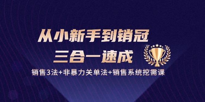 从小新手到销冠 三合一速成：销售3法+非暴力关单法+销售系统挖需课 (27节-桀创项目掘金社