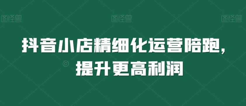 抖音小店精细化运营陪跑，提升更高利润-桀创项目掘金社