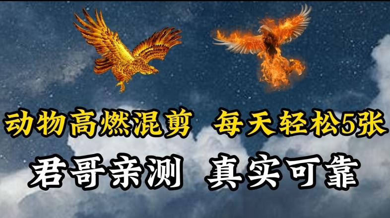 动物超燃混剪，每天轻松5张，剪辑简单大家爱看【揭秘】-桀创项目掘金社