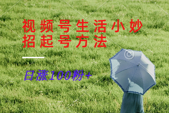 视频号生活小妙招分享赛道， 起号涨粉新方法，日涨100粉-桀创项目掘金社