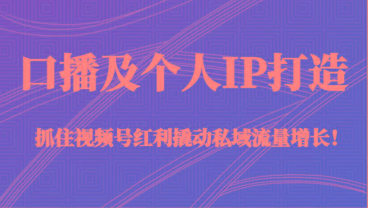 口播及个人IP打造，抓住视频号红利撬动私域流量增长！（45节课）-桀创项目掘金社