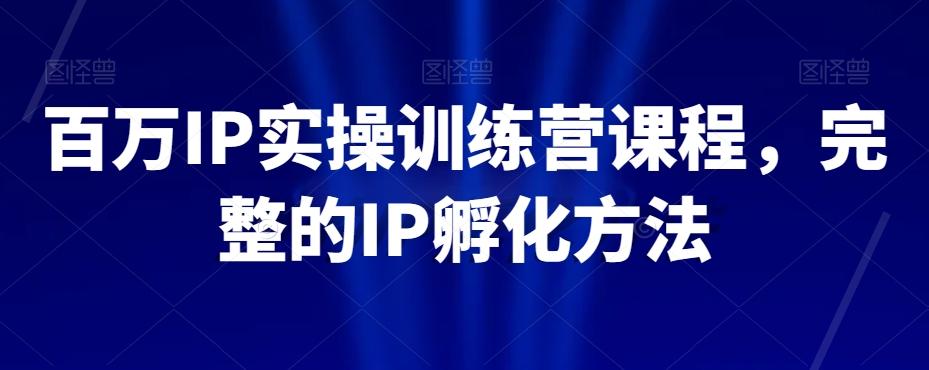 百万IP实操训练营课程，完整的IP孵化方法-桀创项目掘金社