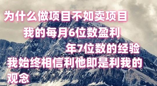 做项目不如卖项目，每月6位数盈利，年7位数经验-桀创项目掘金社