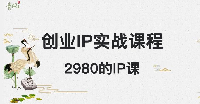外边卖2980的创业IP课程，做私域月入5w+-桀创项目掘金社