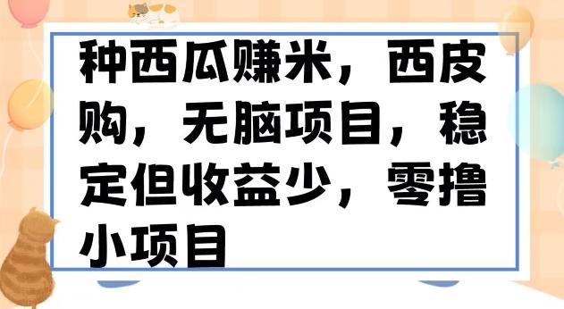 种西瓜赚米，西皮购稳定长久零撸小项目-桀创项目掘金社
