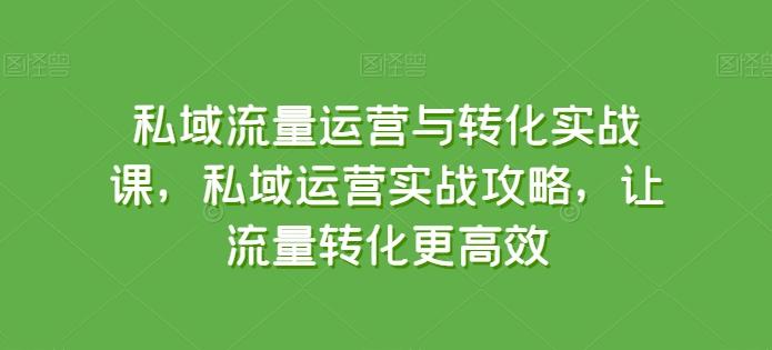 私域流量运营与转化实战课，私域运营实战攻略，让流量转化更高效-桀创项目掘金社