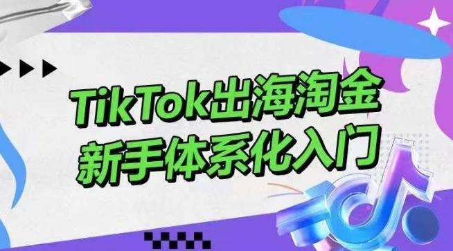 TikTok出海淘金，新手体系化入门，零基础快速入门，掌握短视频、直播带货等引流到变现的知识-桀创项目掘金社