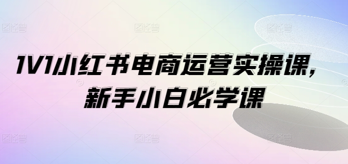 1V1小红书电商运营实操课，新手小白必学课-桀创项目掘金社