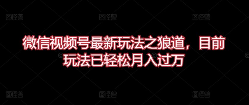 微信视频号最新玩法之狼道，目前玩法已轻松月入过万【揭秘】-桀创项目掘金社
