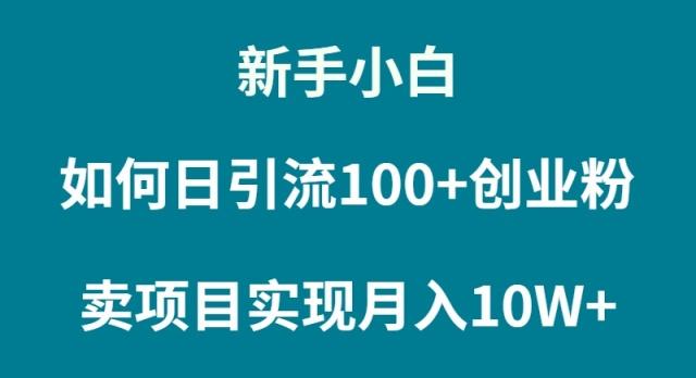 (9556期)新手小白如何通过卖项目实现月入10W+-桀创项目掘金社