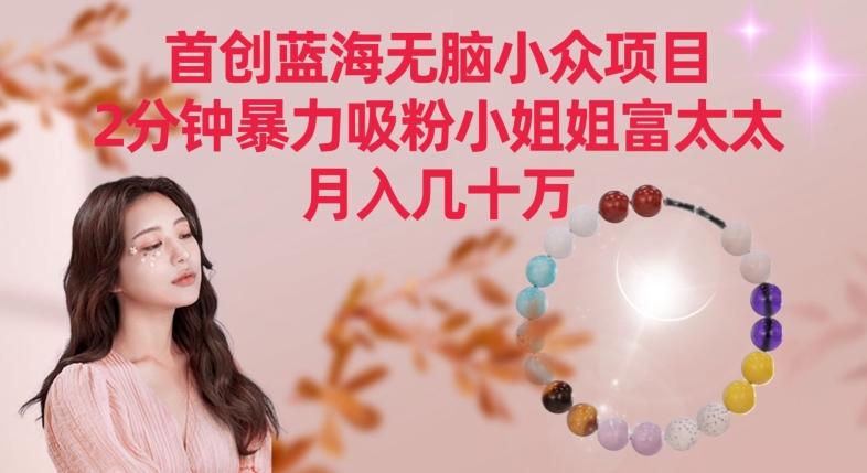 首创蓝海无脑小众项目，2分钟暴力吸粉小姐姐富太太，月入几十万【揭秘】-桀创项目掘金社