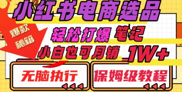 小红书电商爆款选品秘籍，帮你轻松打爆笔记，小白也可轻松月销10000+-桀创项目掘金社
