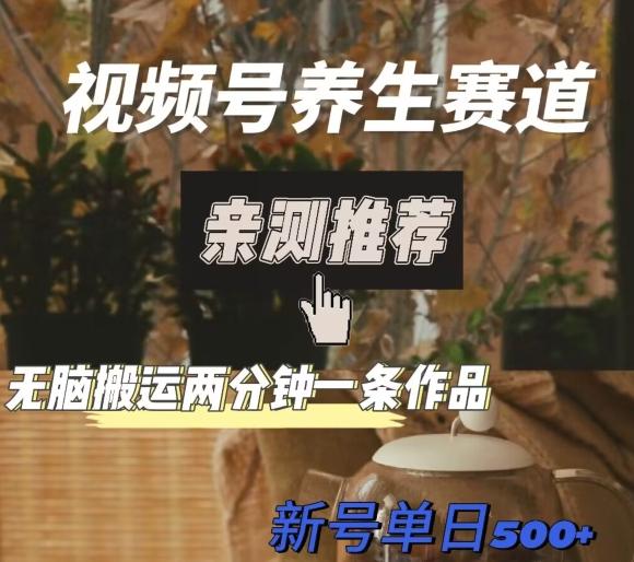 视频号养生赛道暴力掘金，无脑搬运，两分钟一条作品-新日单入500+-桀创项目掘金社