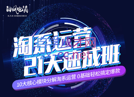 淘系运营21天速成班(更新24年6月)-桀创项目掘金社