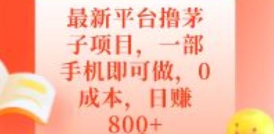 最新平台撸茅子项目，一部手机即可做，0成本，日赚800+-桀创项目掘金社