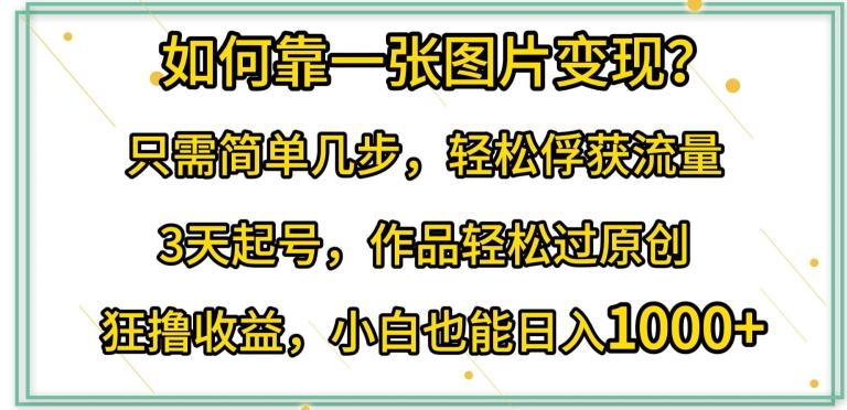 如何靠一张图片变现?只需简单几步，轻松俘获流量，3天起号，作品轻松过原创【揭秘】-桀创项目掘金社