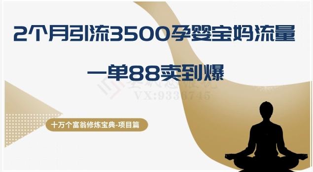 十万个富翁修炼宝典之13.2个月引流3500孕婴宝妈流量，一单88卖到爆-桀创项目掘金社