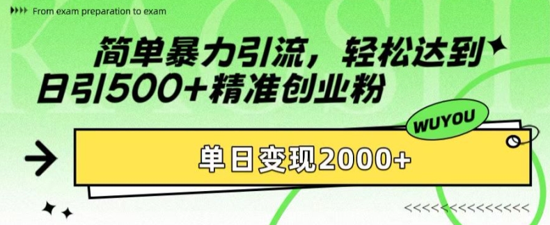 简单暴力引流，轻松达到日引500+精准创业粉，单日变现2k【揭秘】-桀创项目掘金社
