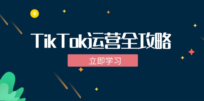 TikTok实战运营全攻略：从下载软件到变现，抖音海外版实操教程-桀创项目掘金社