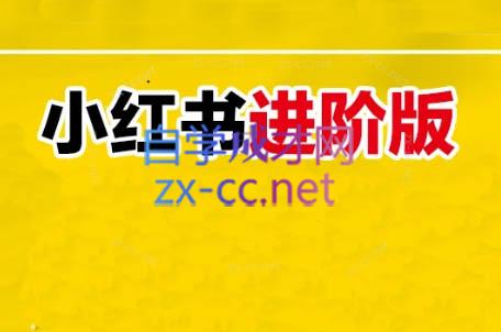 日日老师·小红书电商进阶版-桀创项目掘金社