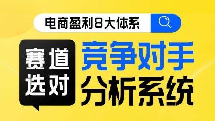 电商盈利8大体系·赛道选对，​竞争对手分析系统线上课-桀创项目掘金社