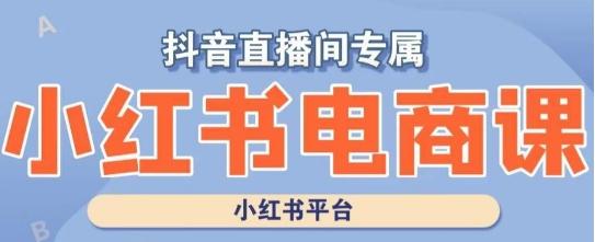 小红书电商高级运营课程，实操教学+案例分析-桀创项目掘金社