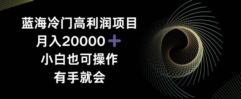 蓝海冷门高利润项目月入2000，小白也可操作有手就会-桀创项目掘金社